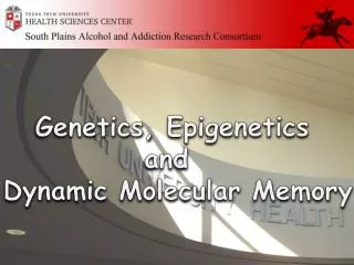 Genetics, Epigenetics and Dynamic Molecular Memory
