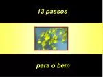 13 passos - slide 1