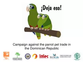 Campaign against the parrot pet trade in the Dominican Republic