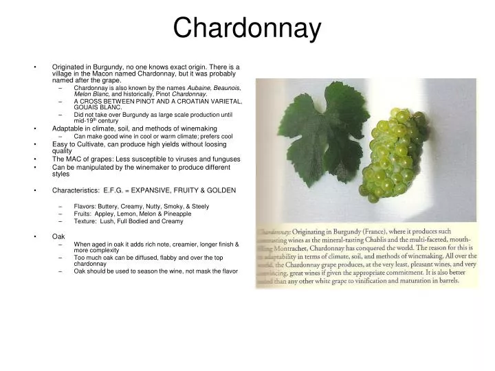 chardonnay