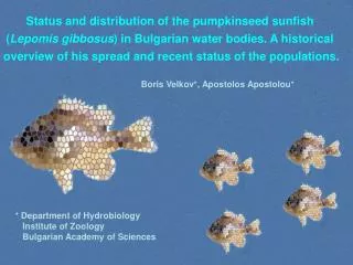 Status and distribution of the pumpkinseed sunfish ( Lepomis gibbosus ) in Bulgarian water bodies. A historical