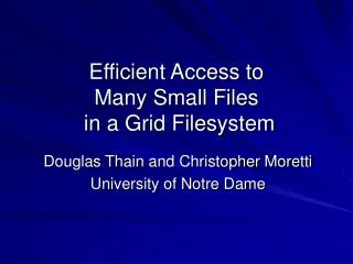 Efficient Access to Many Small Files in a Grid Filesystem