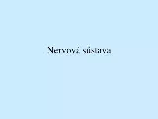 nervov s stava