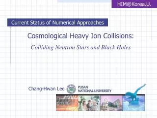 Cosmological Heavy Ion Collisions: Colliding Neutron Stars and Black Holes