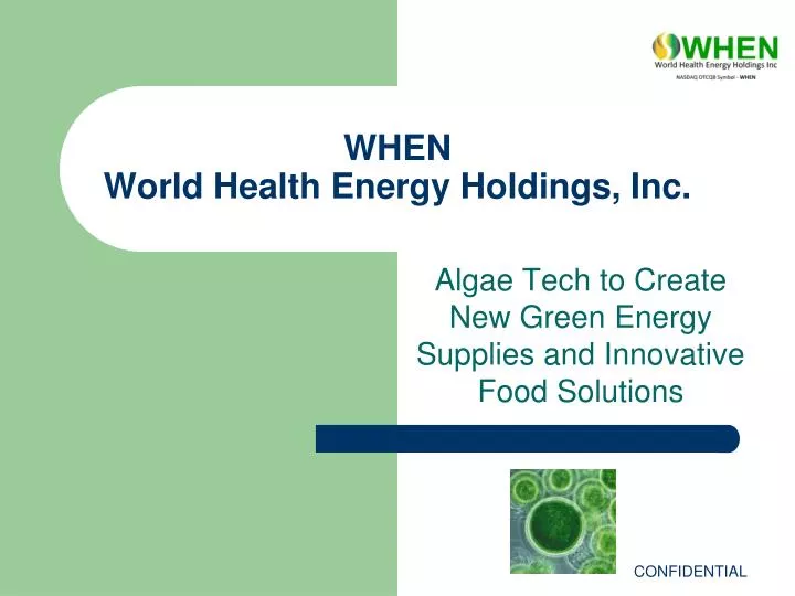 when world health energy holdings inc