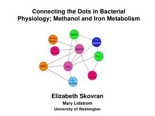 Connecting the Dots in Bacterial Physiology; Methanol and Iron Metabolism