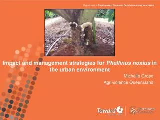 Impact and management strategies for Phellinus noxius in the urban environment