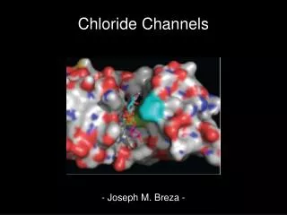 Chloride Channels