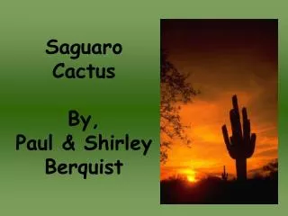 Saguaro Cactus By, Paul &amp; Shirley Berquist