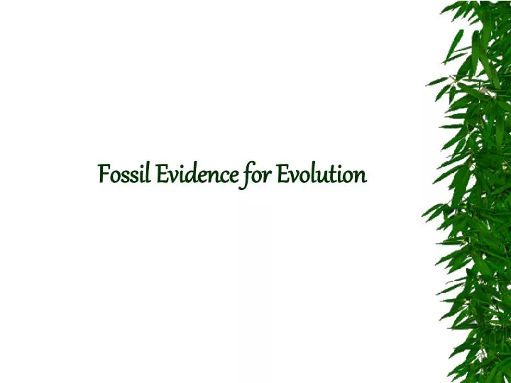 fossil evidence for evolution