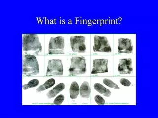 What is a Fingerprint?