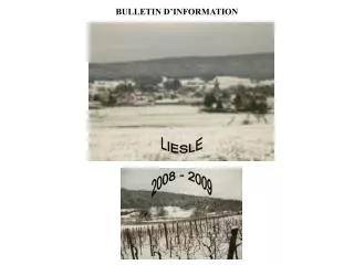 bulletin d information