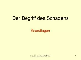 der begriff des schadens