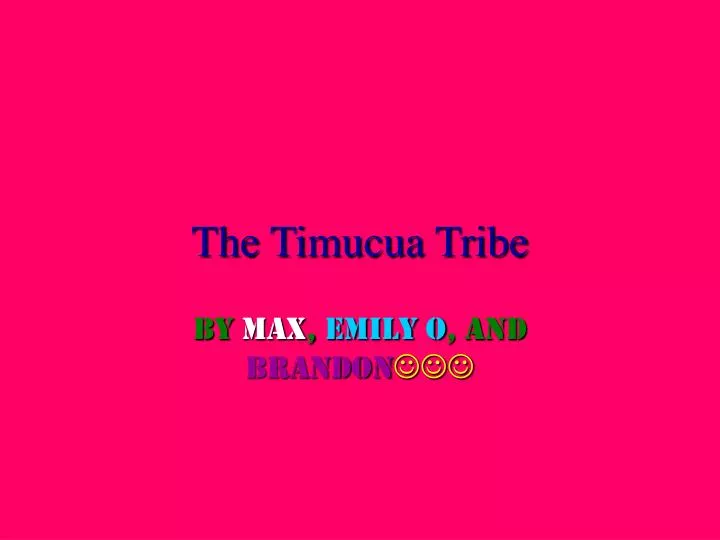the timucua tribe