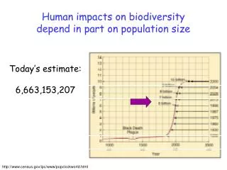 Human impacts on biodiversity depend in part on population size