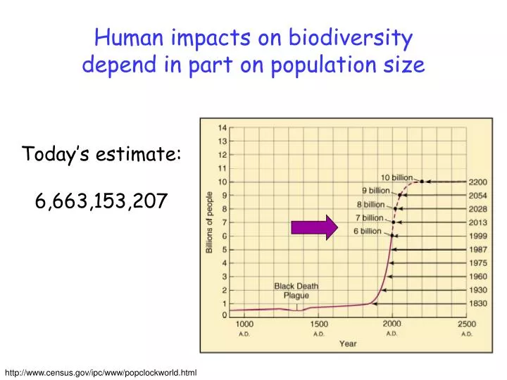 human impacts on biodiversity depend in part on population size