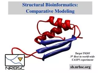 Structural Bioinformatics: Comparative Modeling