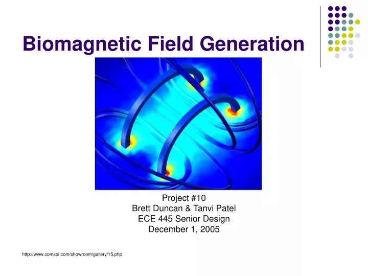 biomagnetic field generation