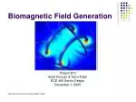 Biomagnetic Field Generation - slide 1
