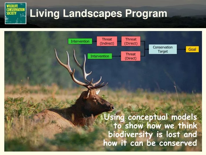 using conceptual models to show how we think biodiversity is lost and how it can be conserved