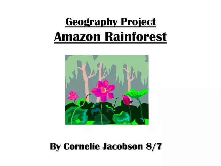geography project amazon rainforest