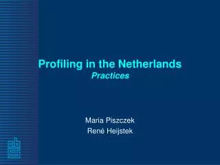 Profiling in the Netherlands Practices
