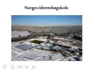 norges idrettsh gskole