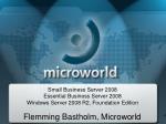 Flemming Bastholm, Microworld - slide 1