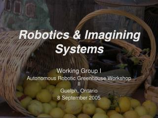 Robotics &amp; Imagining Systems