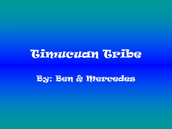 timucuan tribe