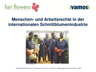 Menschen- und Arbeitsrechte in der internationalen Schnittblumenindustrie