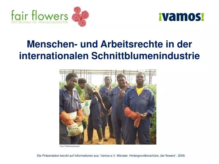 menschen und arbeitsrechte in der internationalen schnittblumenindustrie
