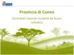 Provincia di Cuneo - slide 1