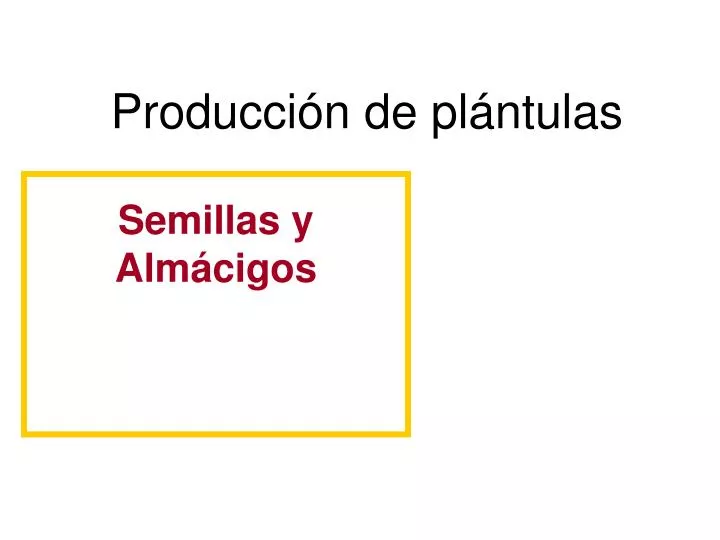 producci n de pl ntulas