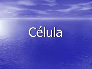 c lula