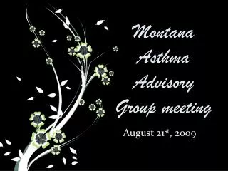 Montana Asthma Advisory Group meeting