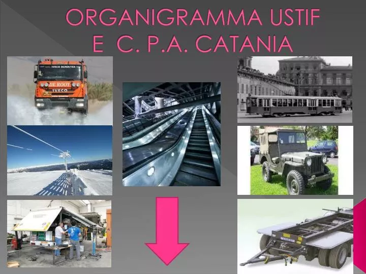 organigramma ustif e c p a catania