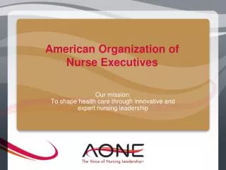 American Organization of Nurse Executives