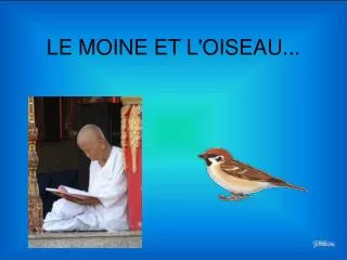 le moine et l oiseau