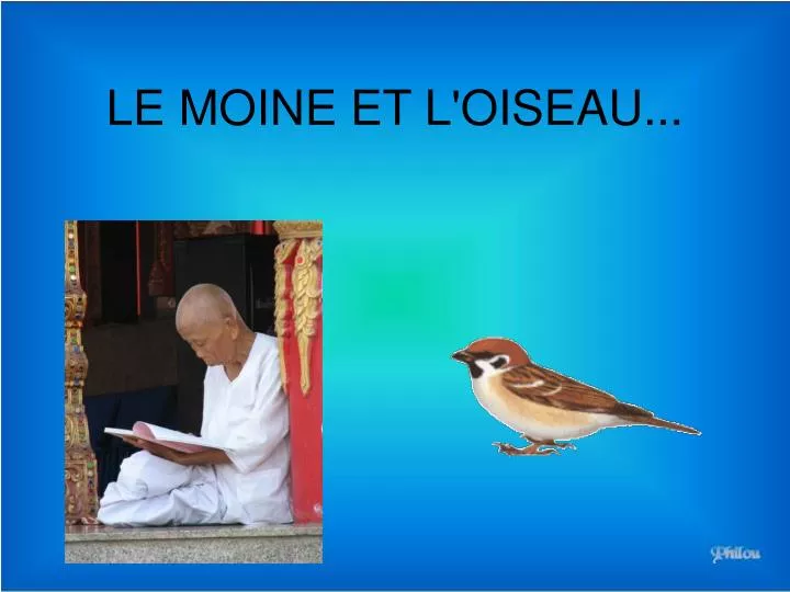 le moine et l oiseau