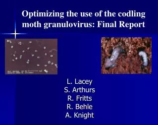 Optimizing the use of the codling moth granulovirus: Final Report