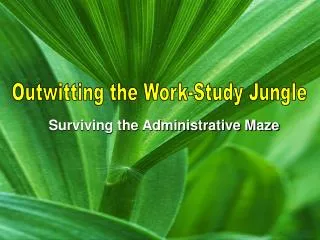 Surviving the Administrative Maze