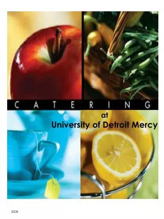 at University of Detroit Mercy