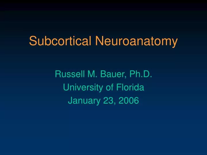 subcortical neuroanatomy