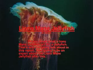 Lions Mane Jellyfish BY: BRETT