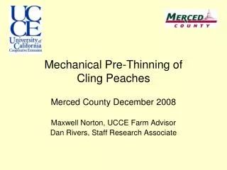 Mechanical Pre-Thinning of Cling Peaches