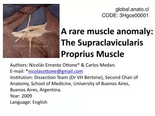 A rare muscle anomaly: The Supraclavicularis Proprius Muscle