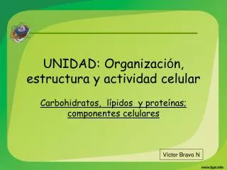 unidad organizaci n estructura y actividad celular