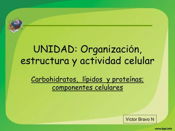 unidad organizaci n estructura y actividad celular