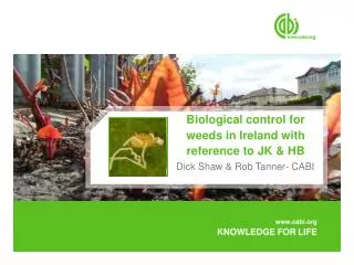 Biological control for weeds in Ireland with reference to JK &amp; HB